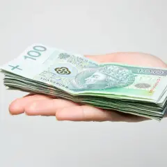 Dłoń trzyma stos banknotów 100 zł. Jak wypełnić wniosek SD-Z2?