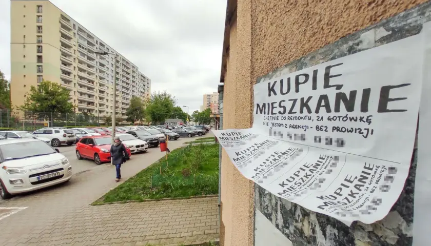 Deweloperka bez pieniędzy? Odkryj modele i finansowanie na start
