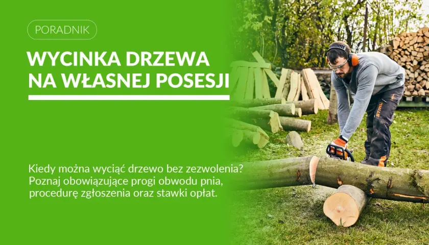 Mężczyzna w ochronnym ubraniu używa piły łańcuchowej do ścinania drzewa. Poradnik o wycince drzew na własnej posesji i pozwoleniach.